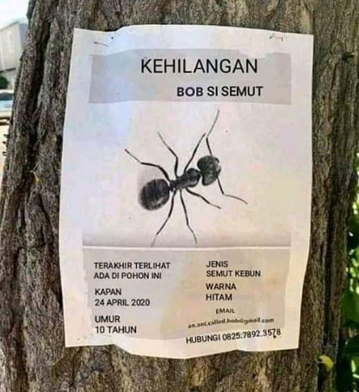 Meme poster 'kehilangan'ini nyelenehnya bikin kamu nggak nyangka