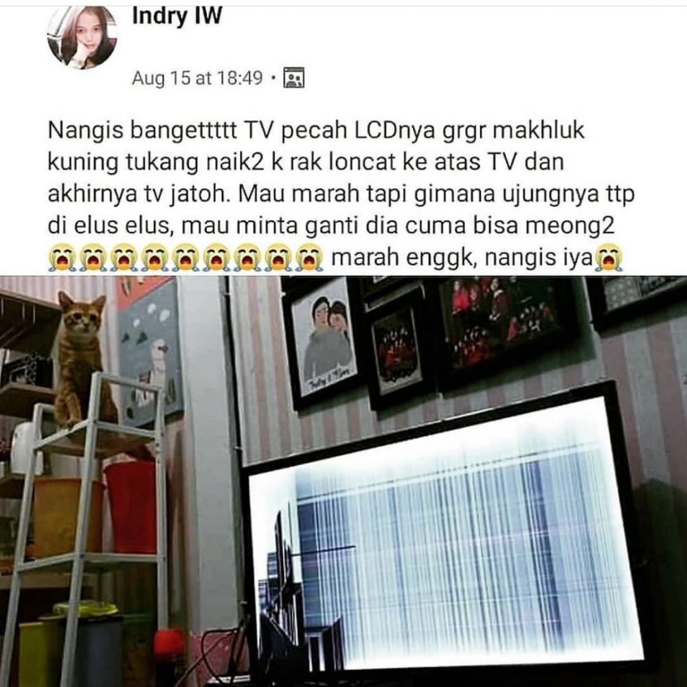 Kumpulan Status FB Lucu Bikin Tepok Jidat