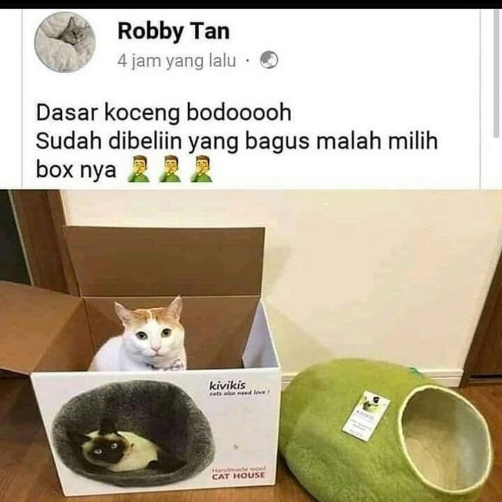 Kumpulan Status FB Lucu Bikin Tepok Jidat