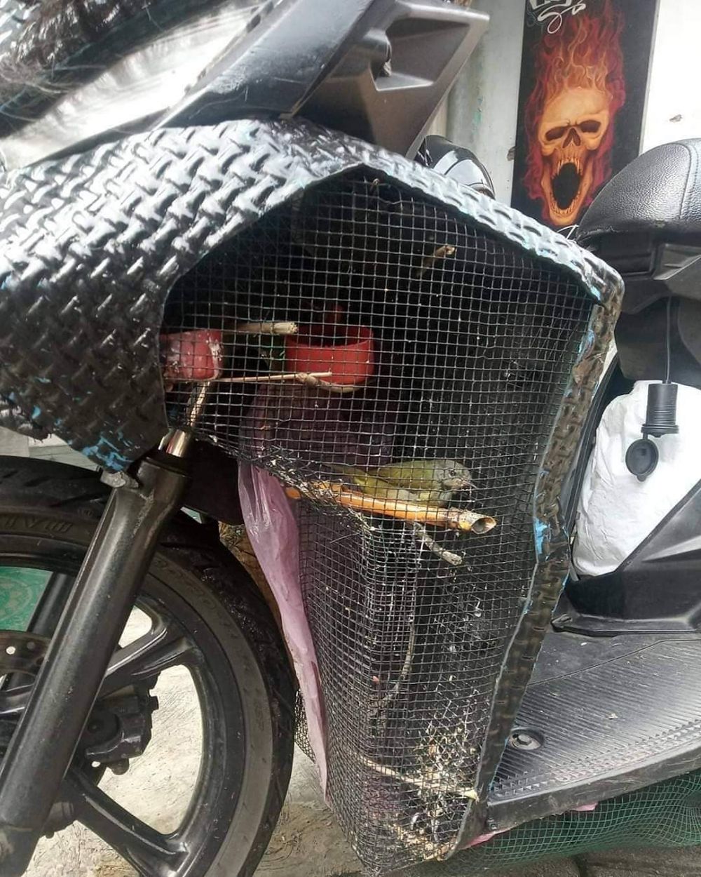 Potret Lucu Kreatif ini Bakalan Bikin Tepok Jidat