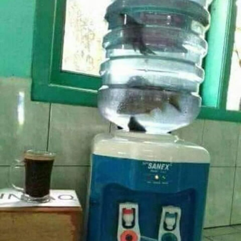 Potret Lucu Kreatif ini Bakalan Bikin Tepok Jidat