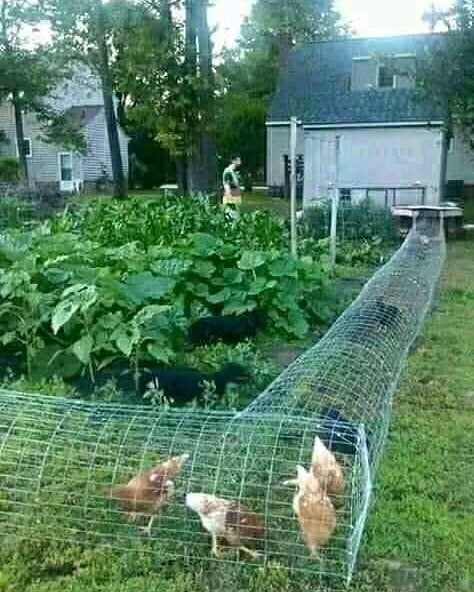 Kumpulan Foto Lucu Teknologi Versi Low Budget