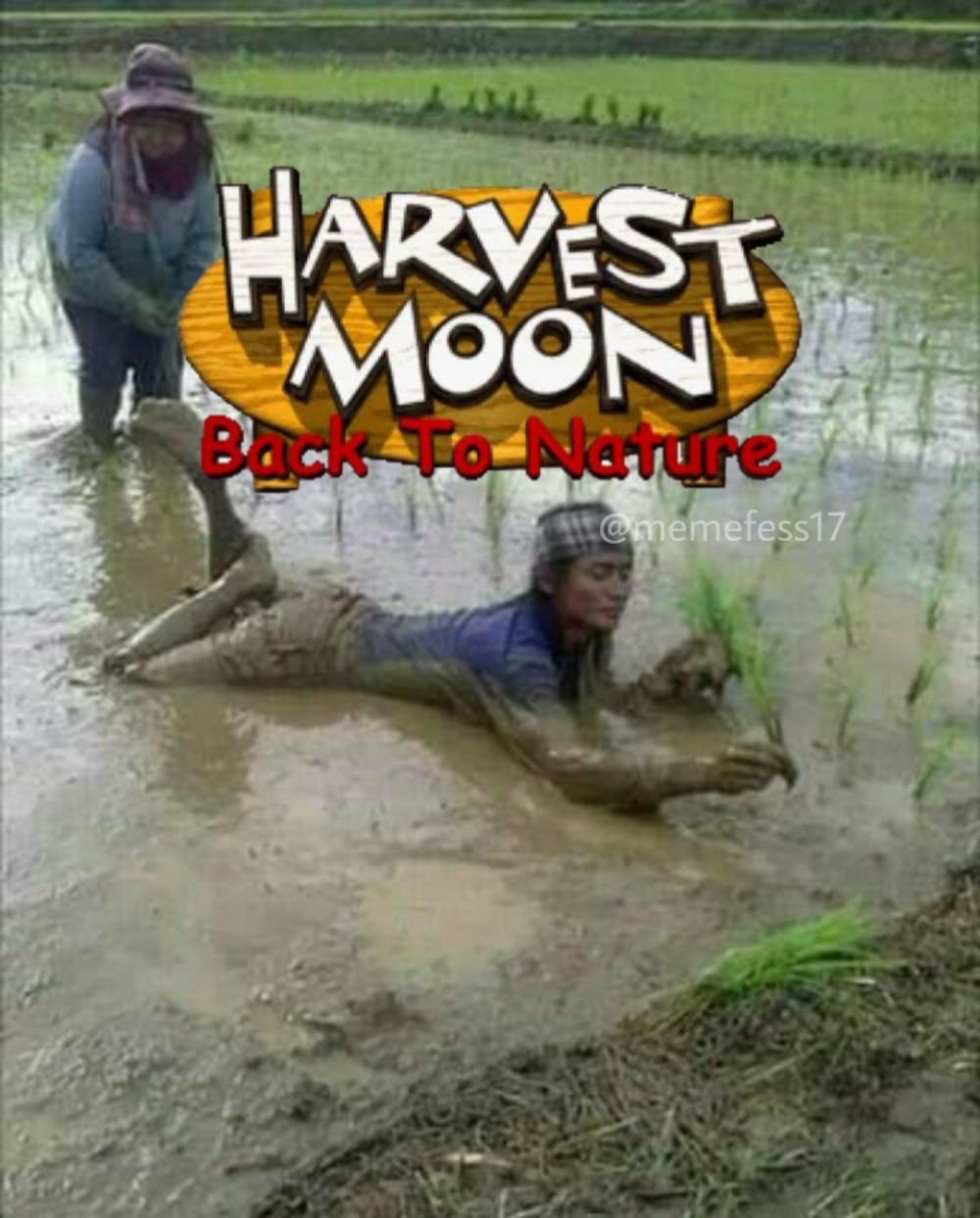 10 Foto Harvest Moon Di Kehidupan Nyata
