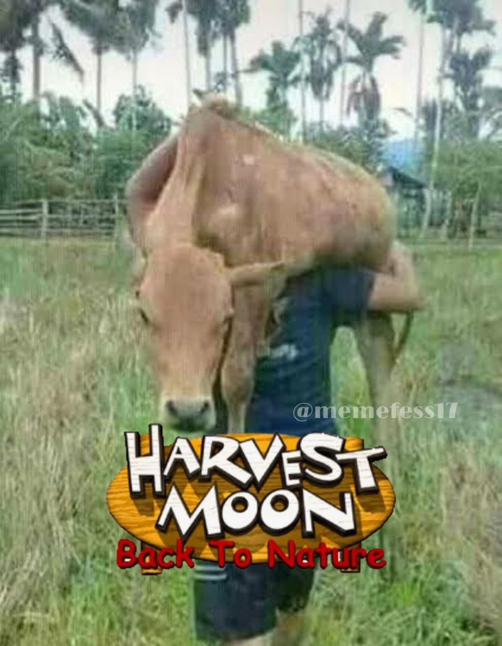 10 Foto Harvest Moon Di Kehidupan Nyata