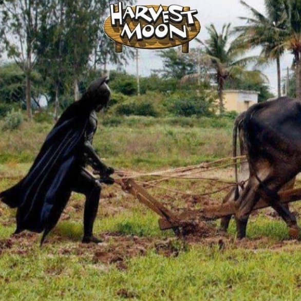10 Foto Harvest Moon Di Kehidupan Nyata