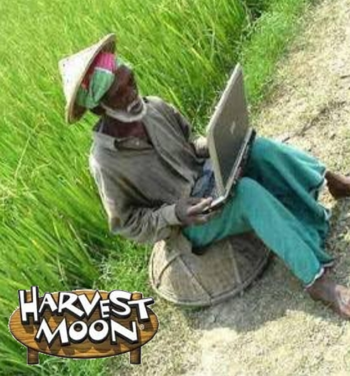 10 Foto Harvest Moon Di Kehidupan Nyata