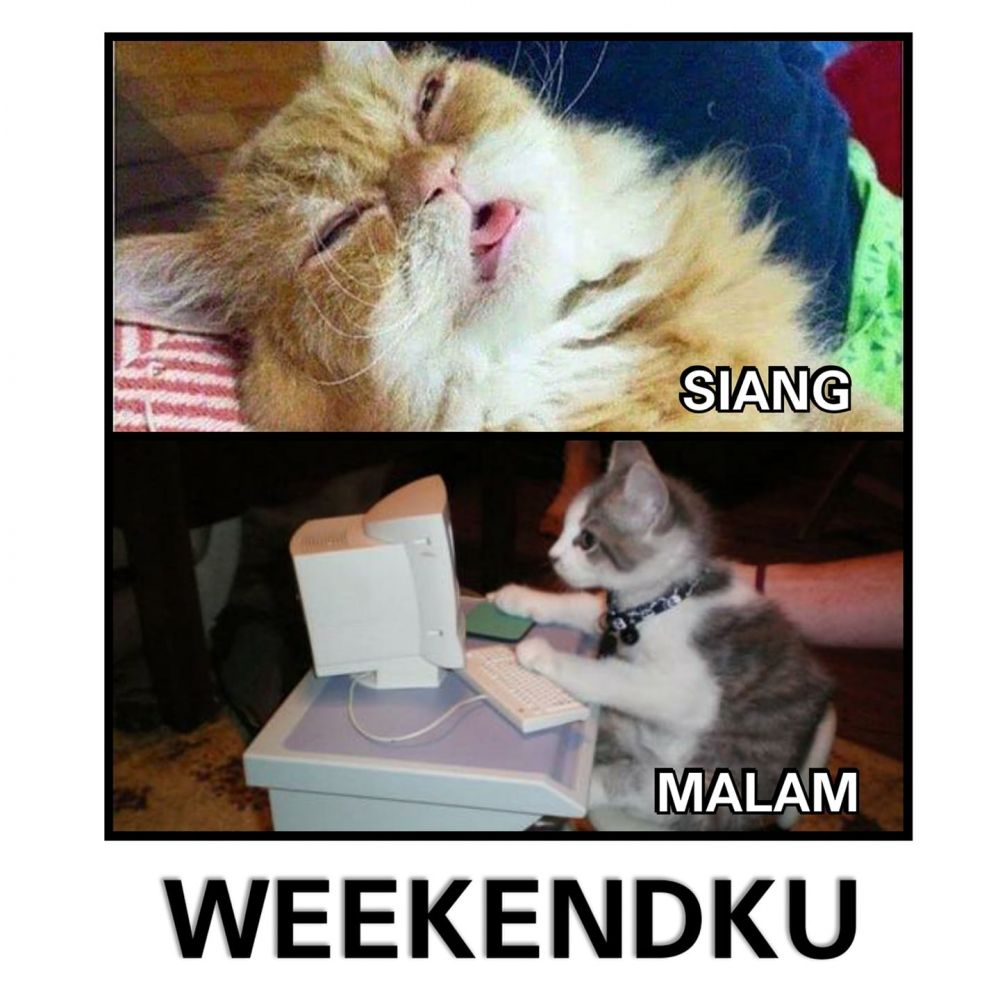 Yang Suka Bergadang Masuk! 10 Komik Lucu Pengalaman Para Kalong