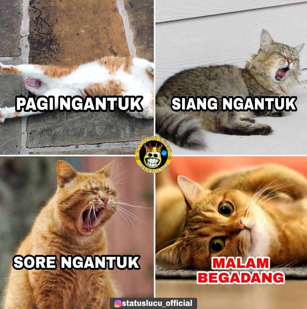 Yang Suka Bergadang Masuk! 10 Komik Lucu Pengalaman Para Kalong