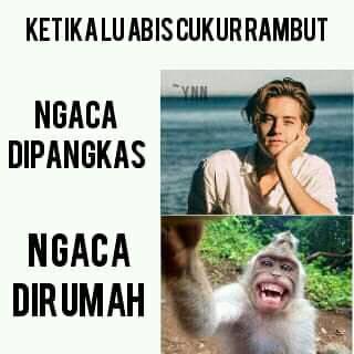 10 Meme Kocak Cukur Rambut, Ngakak Sampe Jedotin Pala Ke Tembok