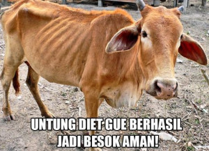 10 Meme Lucu Sapi Jelang Idul Adha Ini Bikin Auto Ngakak!