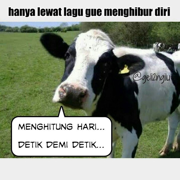 10 Meme Lucu Sapi Jelang Idul Adha Ini Bikin Auto Ngakak!
