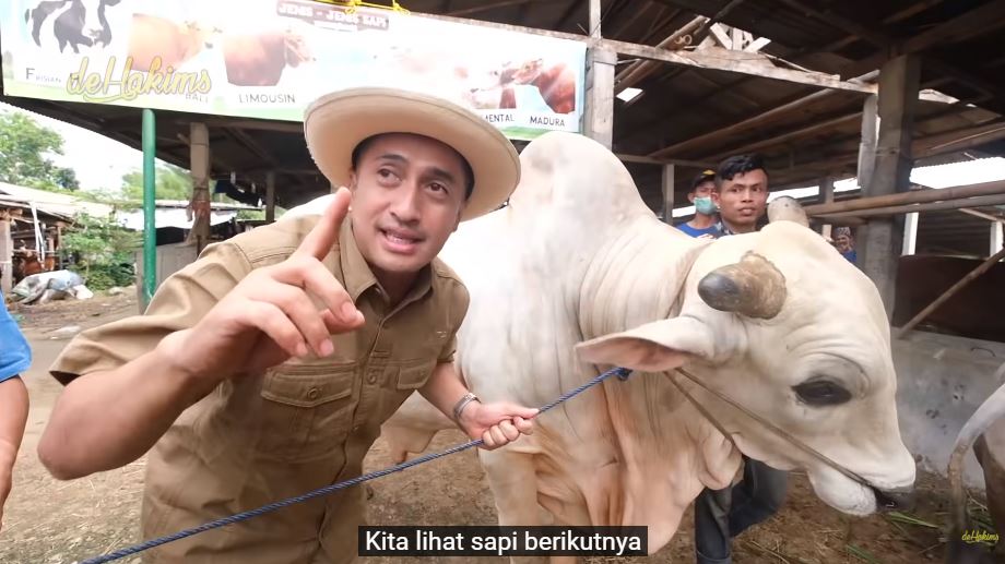 Momen Selebriti Berburu Hewan Kurban, Borong 2 Ekor Sapi Limosin!