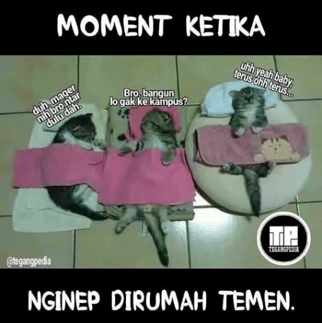 7 Kejadian Bangs*t Ketika Nginep Di Rumah Temen Sahabat Kalian