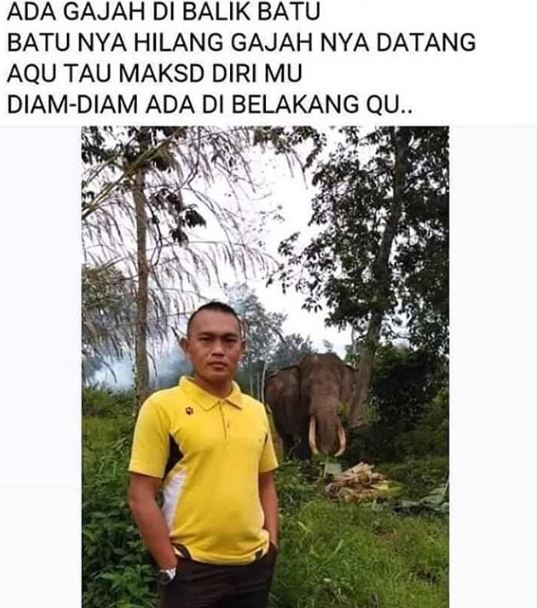KUMPULAN STATUS FACEBOOK LUCU, BIKIN AUTO NGAKAK