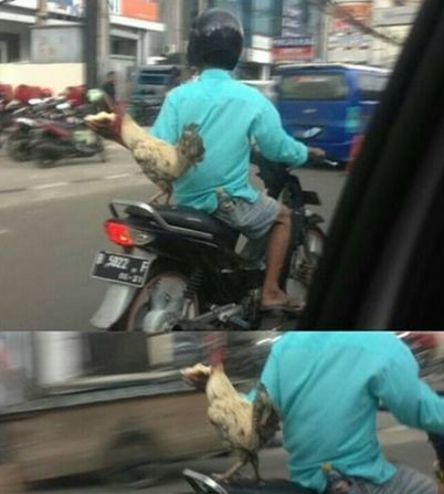 10 KELAKUAN SANTUY ORANG INDONESIA SAAT NAIK MOTOR, NYANTAI ABIS