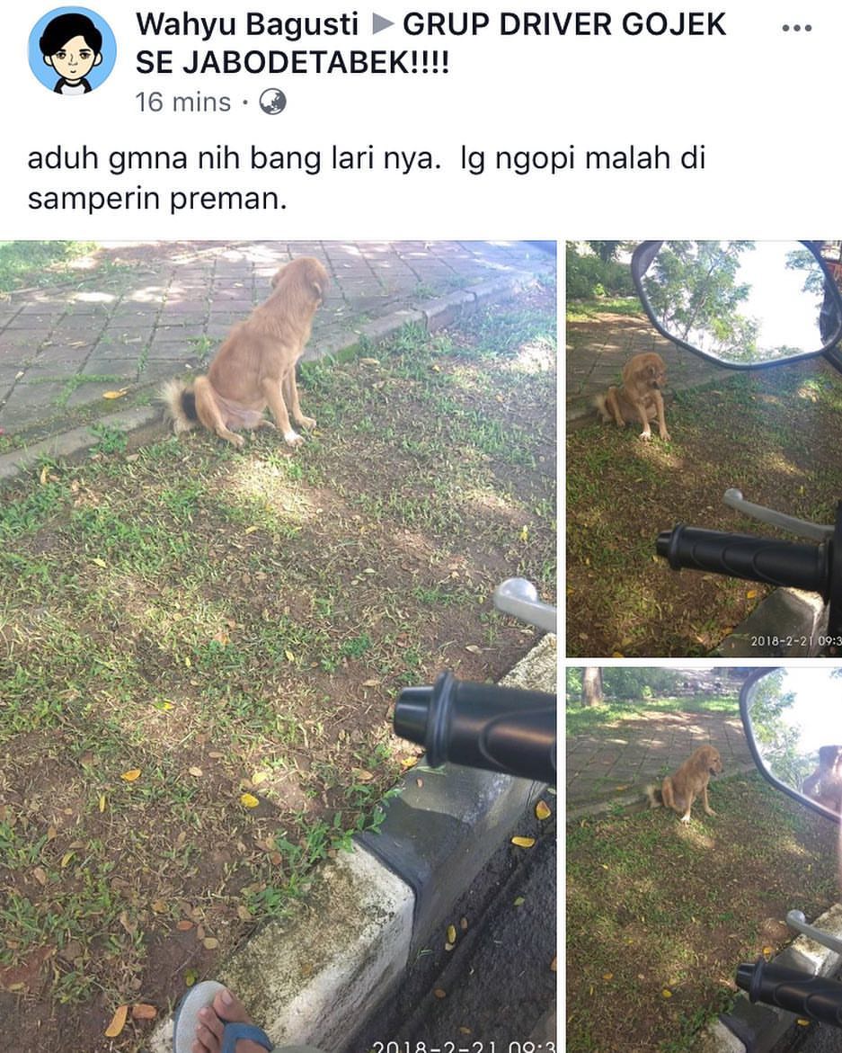 10 SUKA DUKA JADI DRIVER OJEK ONLINE, KADANG SUKA BECANDA