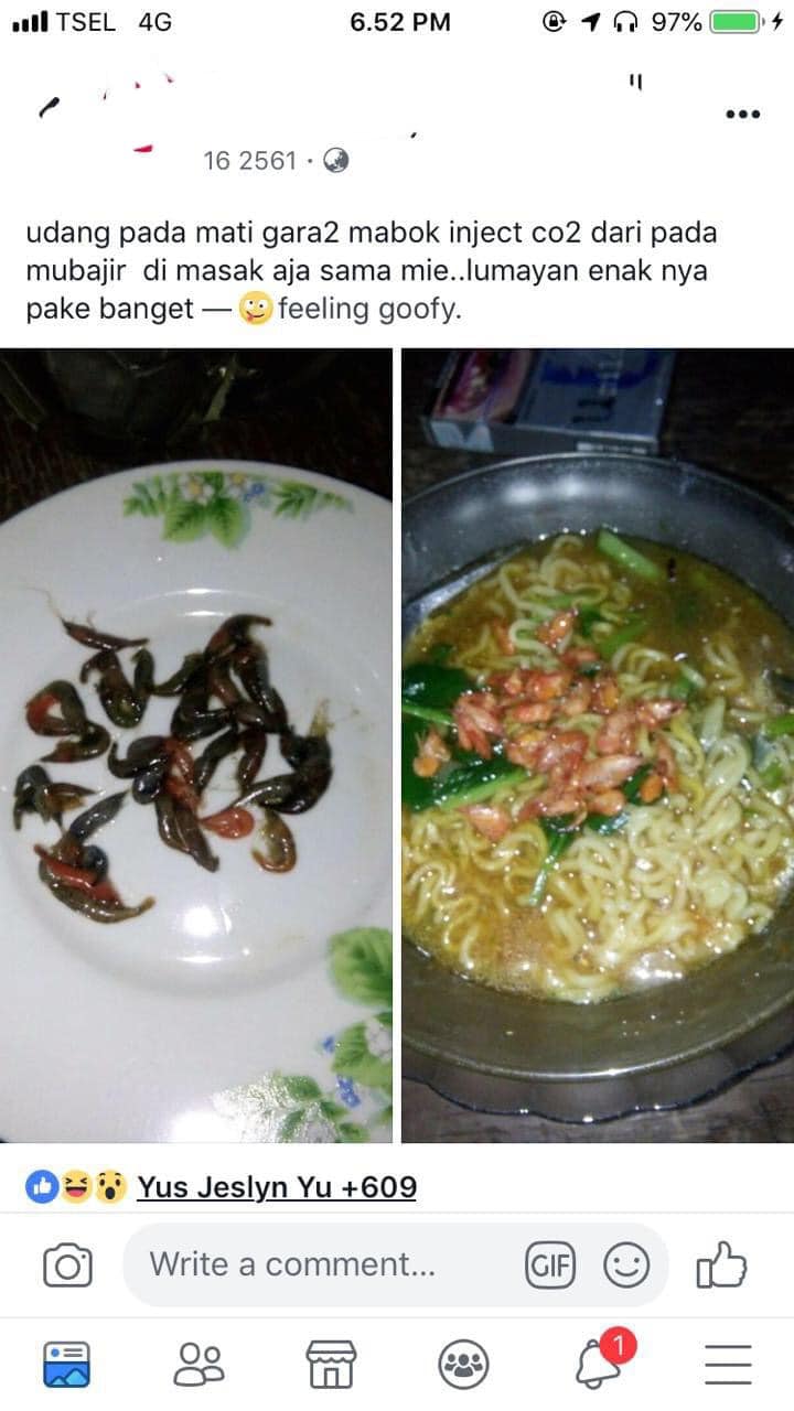 ABSURD GILA! ORANG INI MASAK IKAN HIAS JADI LAUK, BIKIN TEPUK PERUT