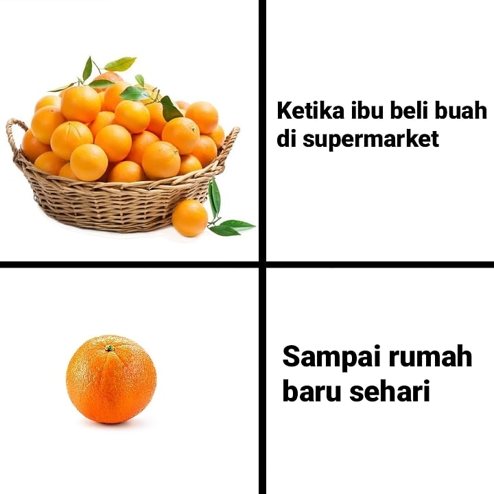 PENGALAMAN BELANJA KOCAK SAAT PERTAMA KALI JADI ANAK KOS