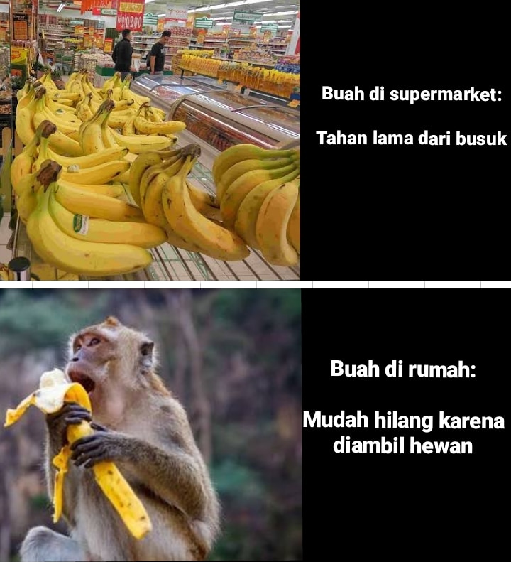 PENGALAMAN BELANJA KOCAK SAAT PERTAMA KALI JADI ANAK KOS