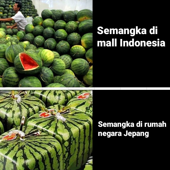 PENGALAMAN BELANJA KOCAK SAAT PERTAMA KALI JADI ANAK KOS