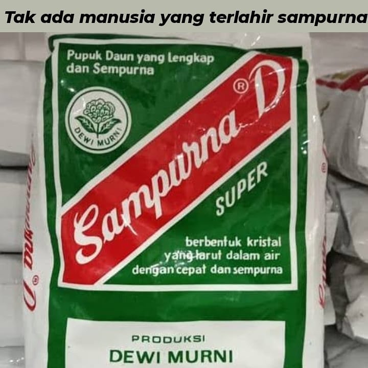 10 PELESETAN LIRIK LAGU KOCAK