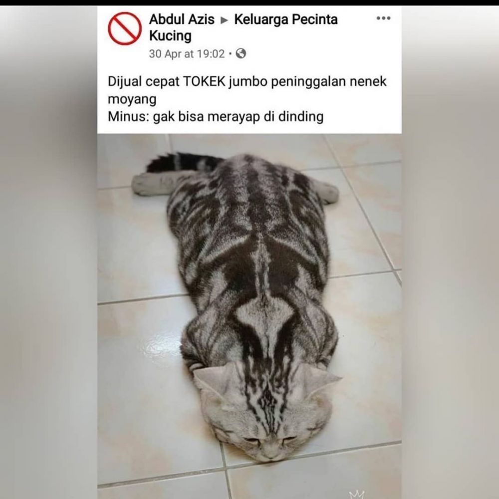 JUALAN DI PESBOOK TAPI KATAHUAN DULUAN BOONGNYA