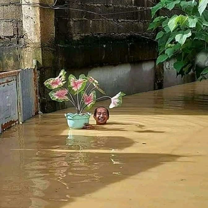 Tingkah lucu ketika orang sudah telanjur cinta tanaman hias, kocak Bikin Sakit Perut