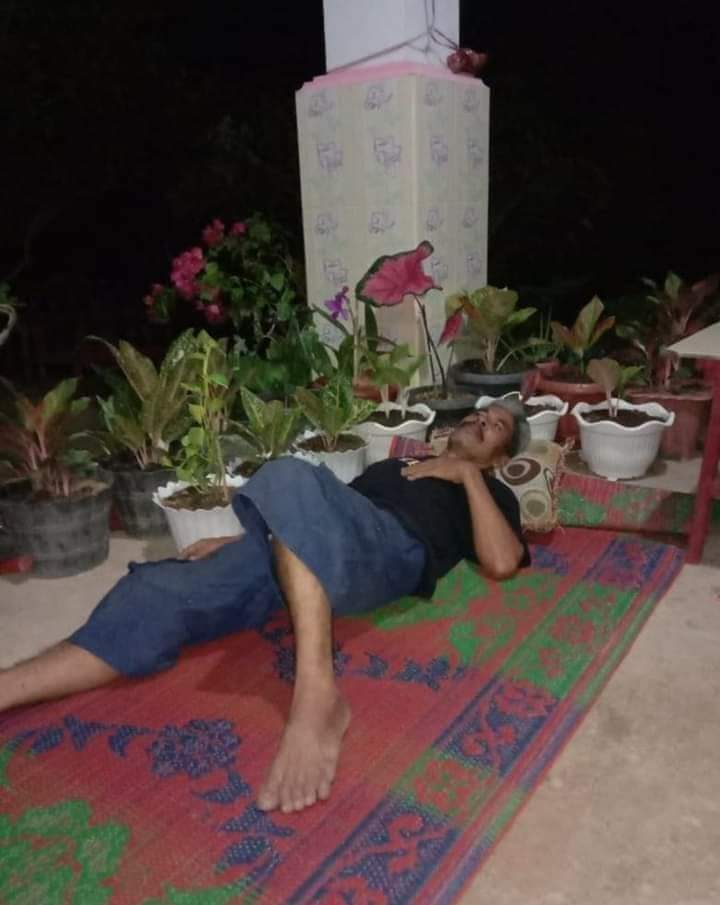 Tingkah lucu ketika orang sudah telanjur cinta tanaman hias, kocak Bikin Sakit Perut