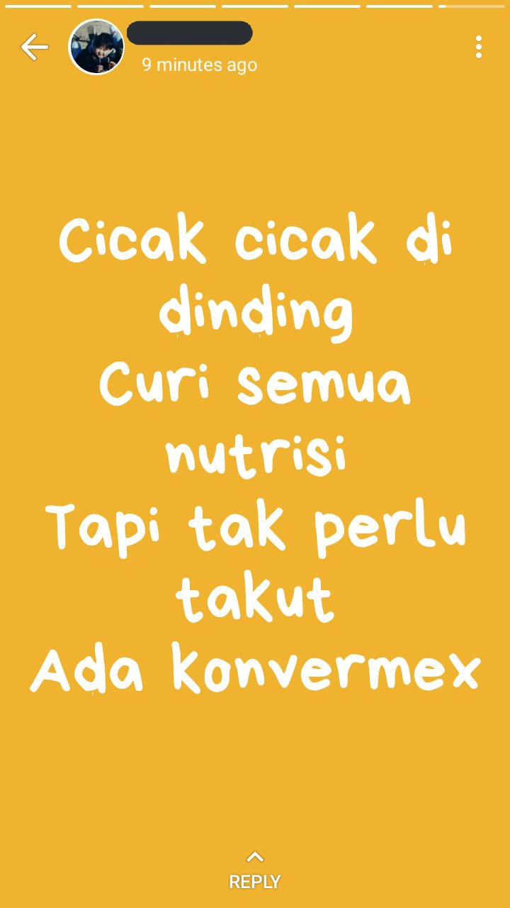Status WA nggak nyambung ini bikin kamu mikir keras