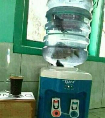 Potret orang gabut bertingkah absurd ini bikin anda ketawa ngakak Potret orang gabut bertingkah absurd ini bikin anda ketawa ngakak