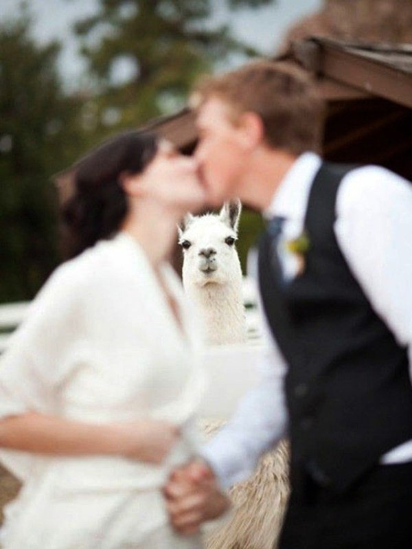 Potret lucu prewedding gagal ini bikin pengantin senyum-senyum sendiri