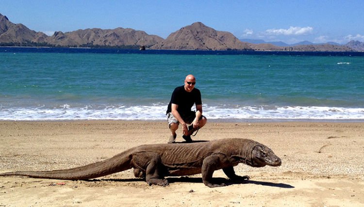 Tarif Gak Masuk Akal ? Ini 4 Alasan Bahwa Tarif 14 Juta Wisata Komodo Bisa Ditolerir