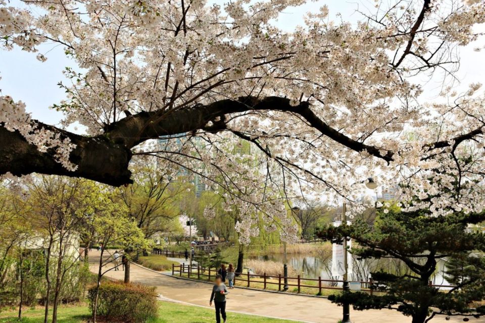 Lokasi Syuting Drama Korea ini Jadi Langganan Tempat Foto Pre-wedding Estetik!