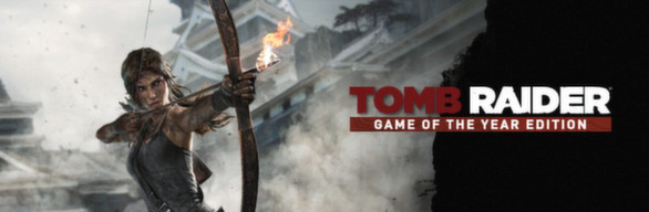 tomb-raider--a-survivor-is-born--2013