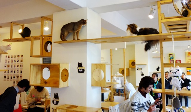 10 Cafe &amp; Restauran Terindah Dengan Design Interior 