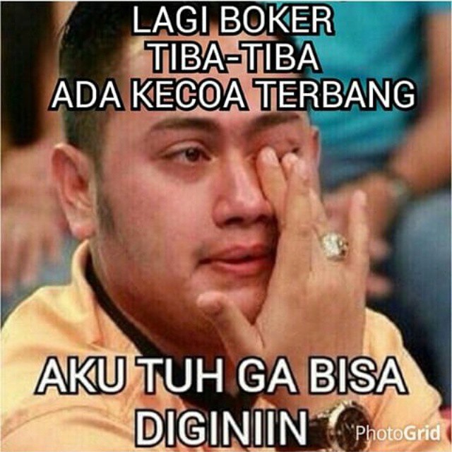 Asal Mula Kecoak, serangga legendaris yang hidup sejak Superbenua Pangea masih ada
