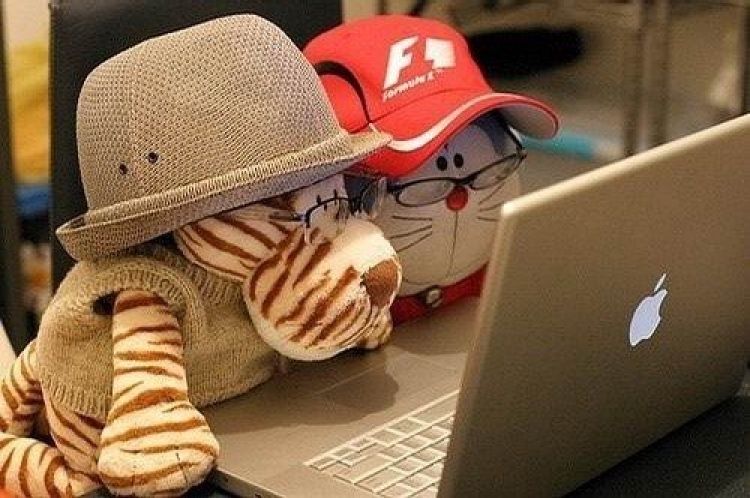 Kegiatan yang Bisa dilakukan Saat Turun Hujan