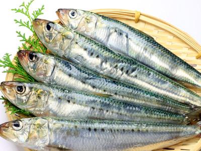 6 Jenis Ikan yang Sebaiknya Tak Kamu Makan Meski Umum di Pasaran