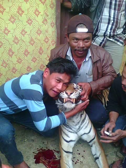 11 Foto bukti kekejaman manusia terhadap binatang,