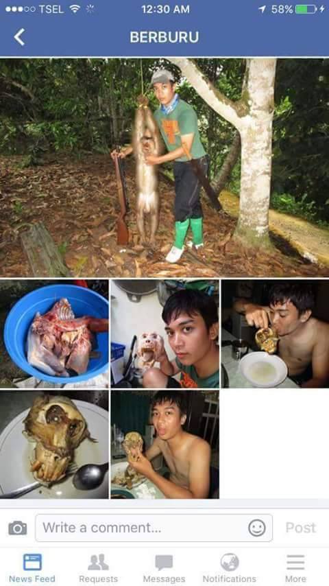 11 Foto bukti kekejaman manusia terhadap binatang,