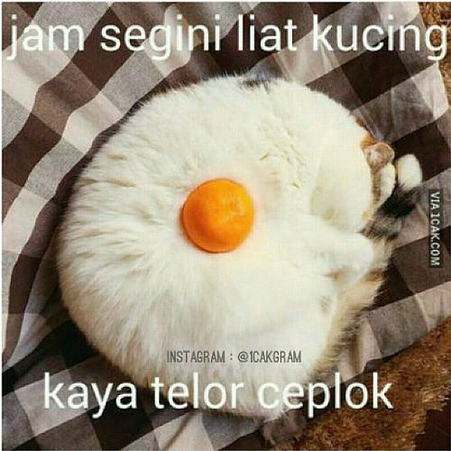 Awas! Bikin gansis terkecoh, berani lihat nggak?