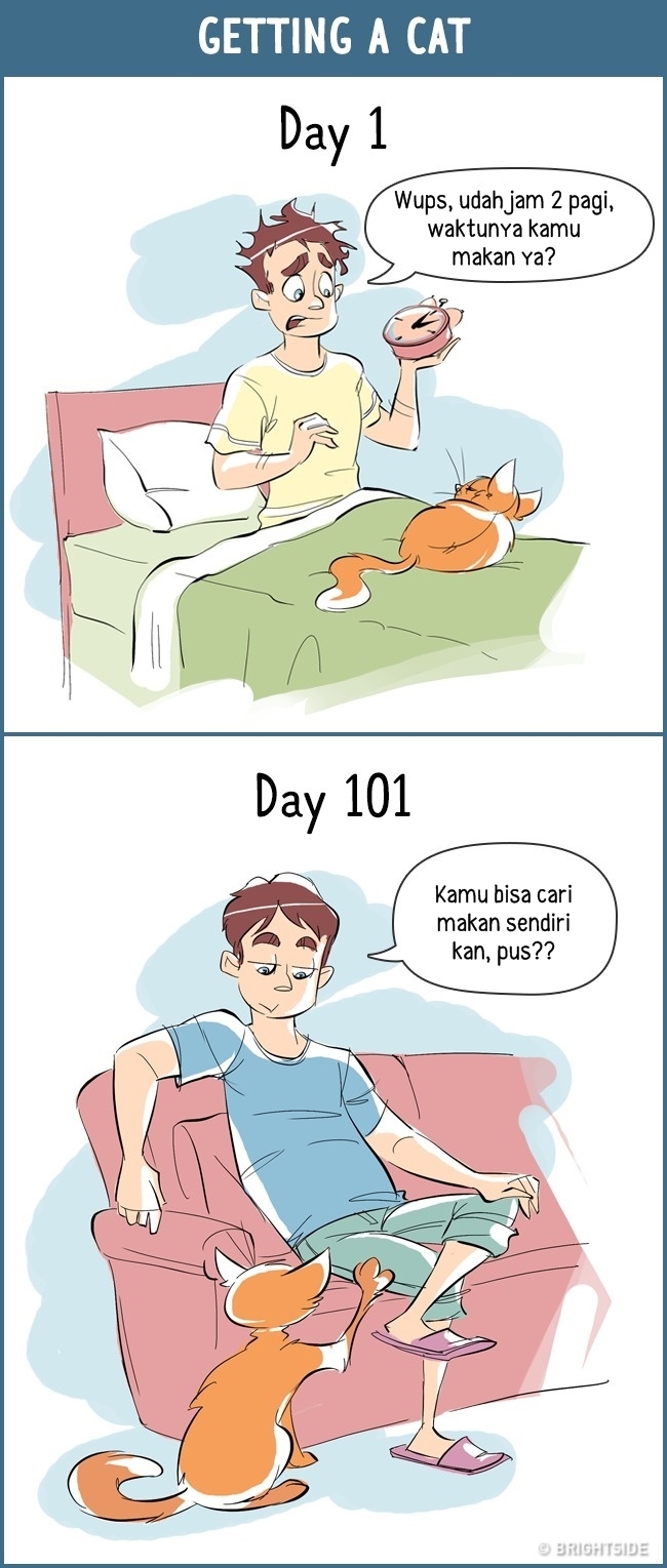 12 Komik tentang beda perilaku manusia di hari pertama vs ke-100