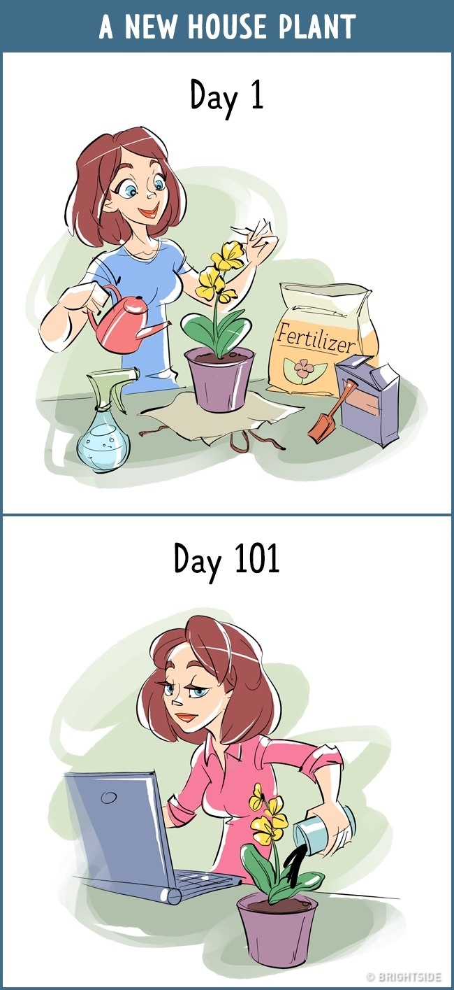 12 Komik tentang beda perilaku manusia di hari pertama vs ke-100