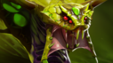 Siapa Saja Pengisi Suara Hero Dota 2 ?