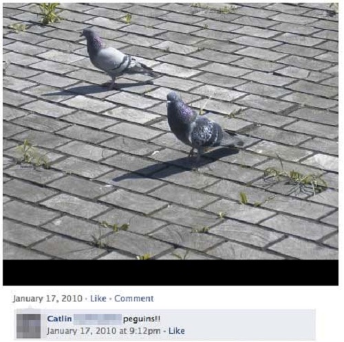  ₪ Facebook Wins and Fails &#91;NGAKAK GAN!!!&#93; ₪