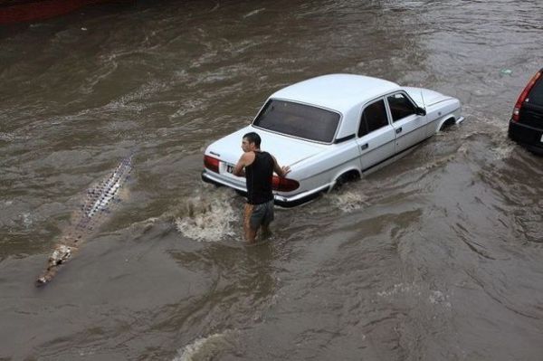 Seberapa Jeli Mata Agan Bisa Menangkap Keanehan Ini?