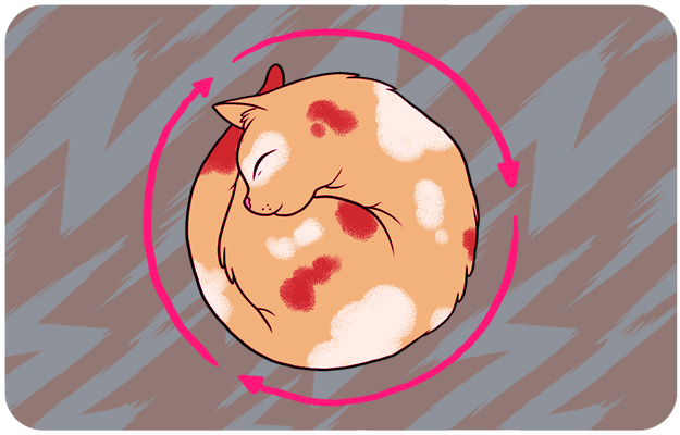 ๑ 15 Kelakuan Kucing di gambarkan pake GIFs ๑
