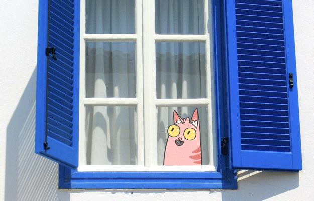 ๑ 15 Kelakuan Kucing di gambarkan pake GIFs ๑