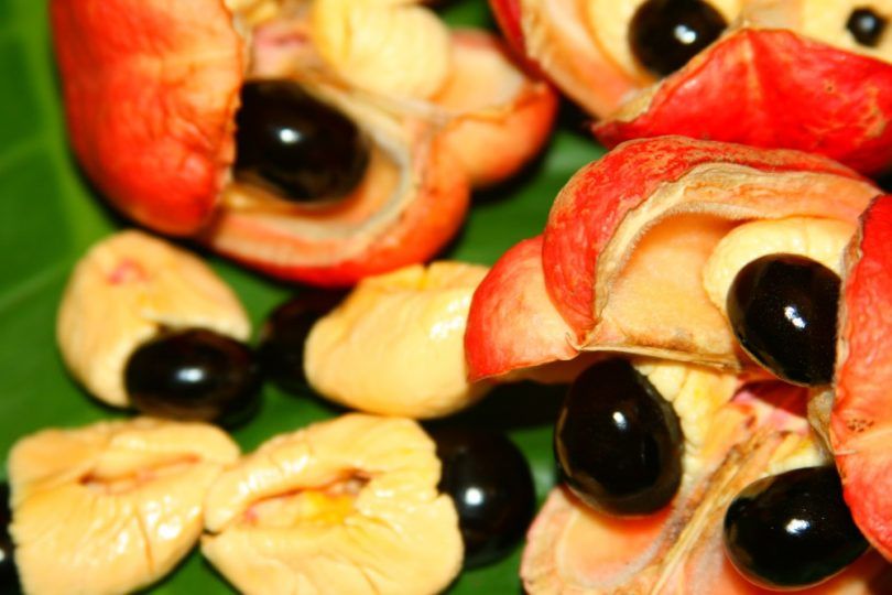 5 Buah yang Terlihat Cantik, Tapi Gak Baik Buat di Konsumsi. Hmm Apa itu?