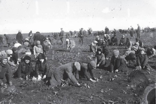 6 Fakta Tentang Holodomor, Genosida yang Dilakukan oleh Uni Soviet